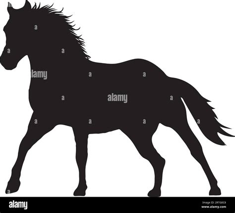 Cheval Silhouette Banque D Images Vectorielles Alamy