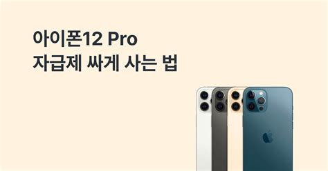 아이폰12 Pro 싸게 사는 법 정리 20241 자급제 가격휴대폰 성지 가격 비교 모요 모두의요금제