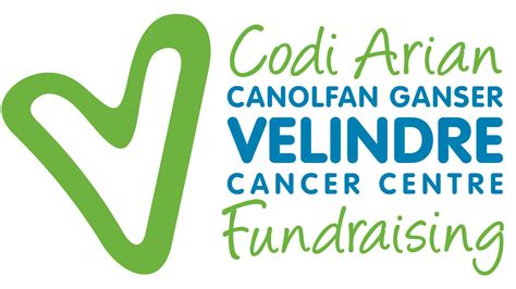 Velindre Cancer Centre Are Charity Focus For Millwall Swansea