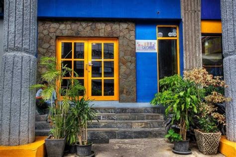 degrees home   home  travelling young expats