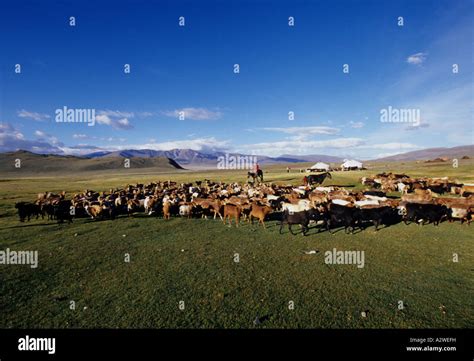 Mongolian plains nomads hi-res stock photography and images - Alamy