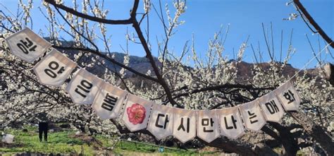 광양시 제22회 광양매화축제 개선 및 발전방안 보고회 개최