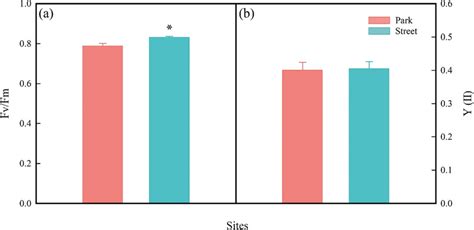 Maximum Photochemical Quantum Yield Of Photosystem Ii Fv Fm A And