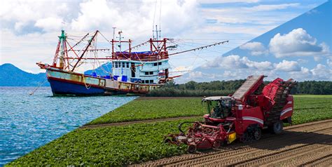 Optimizaci N En La Industria Pesquera Y Agroindustrial Utilizando