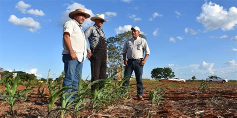 Refrenda Agricultura Su Compromiso Con Las Pr Cticas Sustentables En El