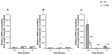 Rt Pcr Analysis Of Putative Hexose Transporter Under Alcohol Stress