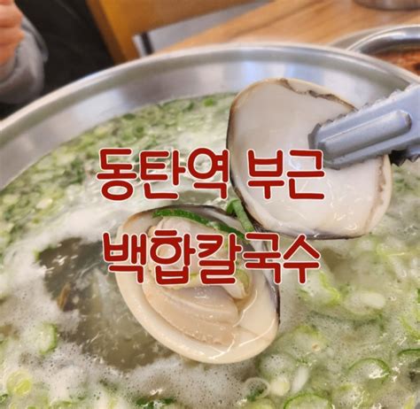 동탄역 칼국수 맛집 동탄백합칼국수 네이버 블로그