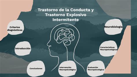 Trastorno De La Conducta Y Trastorno Explosivo Intermitente By Maria