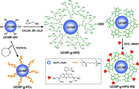 Efficient Tailoring Of The Surface Of Upconversion Nanoparticles Via