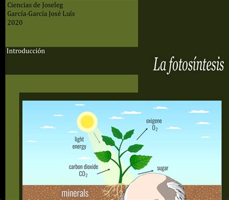 Biología de joseleg introducción a la biología La fotosíntesis