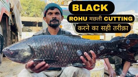 Amazing Fish Cutting Skills Big Black Rohu Fish Cleaning Cutting By