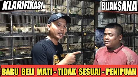 Merasa Ketipu Tidak Sesuai Klarifikasi Kios Sigit Pasar Burung Murah