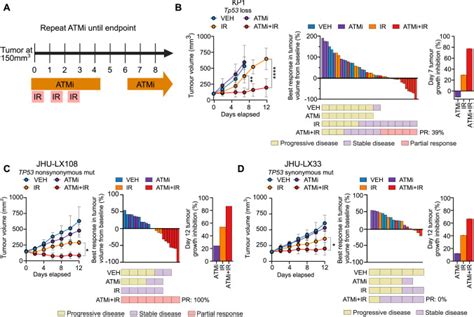 Crispr Screen Of Druggable Targets In Small Cell Lung Cancer Identified