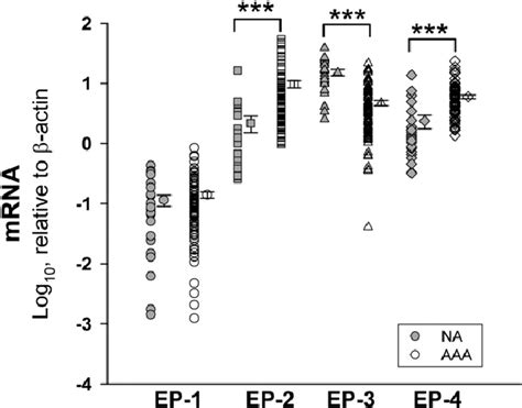 Transcript Levels Of PGE Receptors EP In NA N 25 And AAA N 86