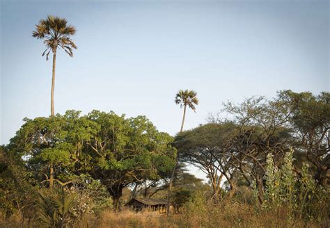 Katavi National Park Tanzania Safaris Expert Africa