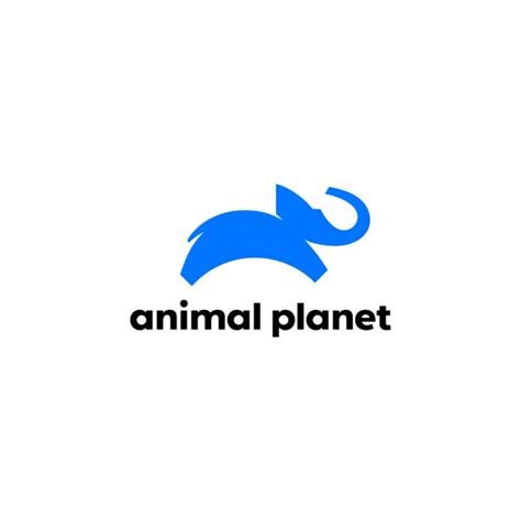 Animal Planet (2019) Logo Vector - (.Ai .PNG .SVG .EPS Free Download)