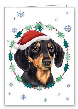 Dachshund Christmas Cards / Stationary | Dachshund love, Dachshund ...