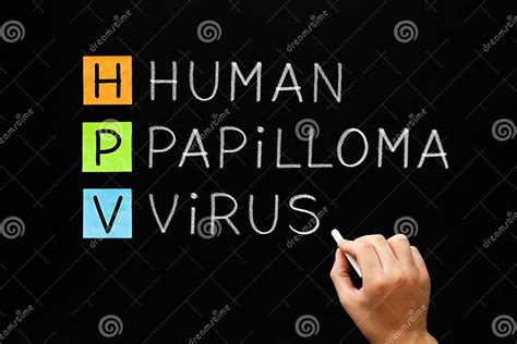 Hpv Virus De Papillome Humain Sur Le Tableau Noir Photo Stock Image