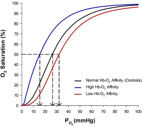 The Elevated Oxygen Consumption Relative To Activity Level