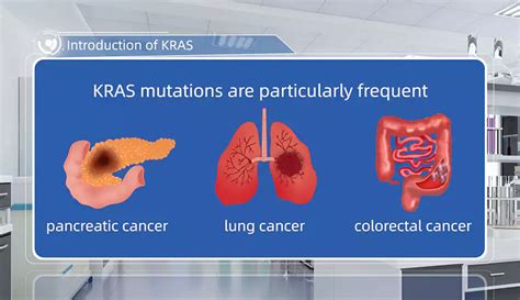 Targeted Drugs R&D Services: Introduction of KRAS | Medicilon Videos