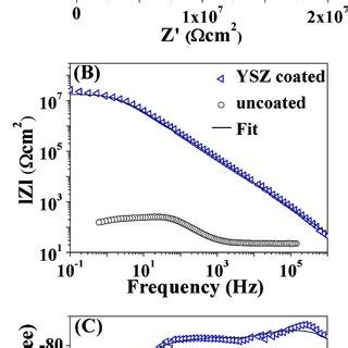 Color Online Potentiostatic Transients Recorded For The Ysz Coated Az