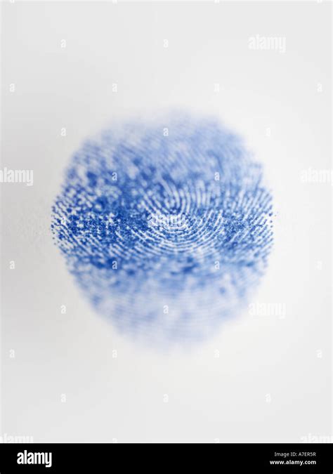 Blue Fingerprint On White Background Selective Focus Stock Photo Alamy