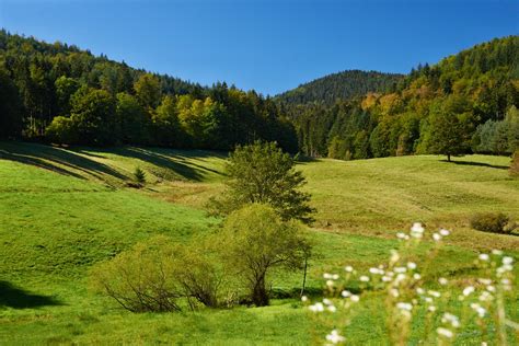 Naturpark Schwarzwald Mitte Nord