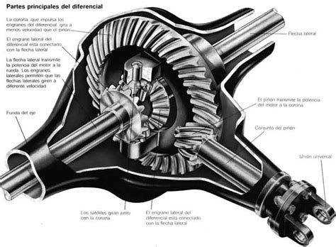 Que Es Un Diferencial