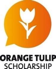 Programa Orange Tulip Scholarships Oferece Bolsas De Estudo Para