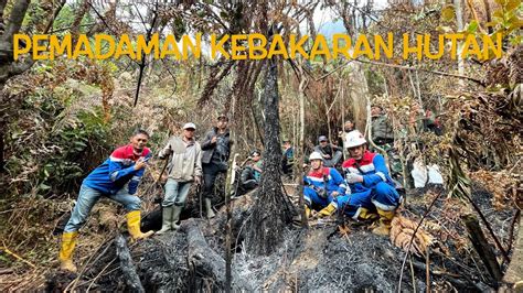 Team Pge Area Kamojang Membantu Padamkan Kebakaran Dihutan Twa Gunung