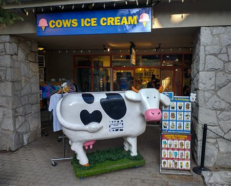 Cows Ice Cream Whistler Another Day Of 30c Temperature An Flickr