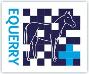 how to pronounce equerry