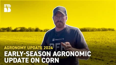 Early Season Agronomic Update On Corn Beck S Agronomy Update Youtube