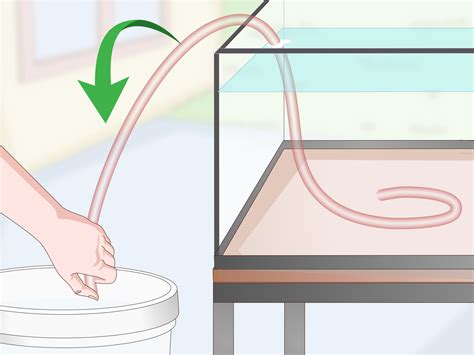 3 Ways To Start A Siphon Fish Tank WikiHow