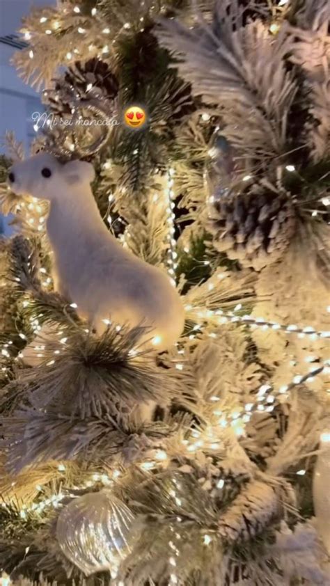 Ilary Blasi l albero di Natale bianco con le renne è lo stesso dell