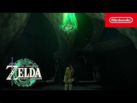 The Legend Of Zelda Tears Of The Kingdom Wurzeln Des Lichts