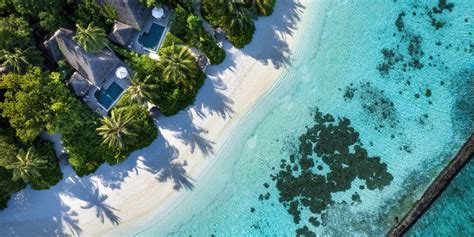 Best Coral Reef Maldives Baros Maldives Coral Reefs In The Maldives