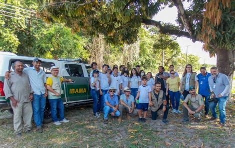 Ibama Realiza Soltura De Aves Silvestres Em Reserva Da Embrapa Em Se