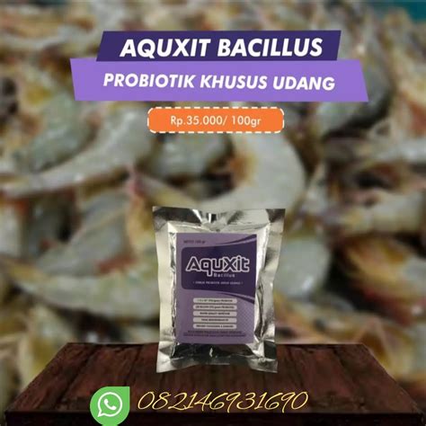 Jual Probiotik Super Untuk Budidaya Udang Aquxit Bacilus G Shopee