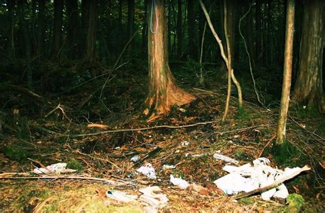 Inside Aokigahara The Haunting Suicide Forest Of Japan