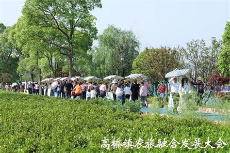 以茶兴旅，以旅促茶——长沙县高桥镇农旅融合发展大会召开