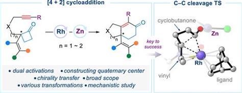 实现环丁烷 C C 裂解的双活化策略：rh 和 Zn 共催化 Yne 乙烯基环丁酮的 4 2 环加成的发展和机理journal Of