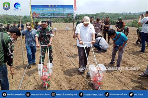 Pemkab Tni Dan Pemda Kabupaten Kaur Lakukan Tanam Jagung Dan Semangka