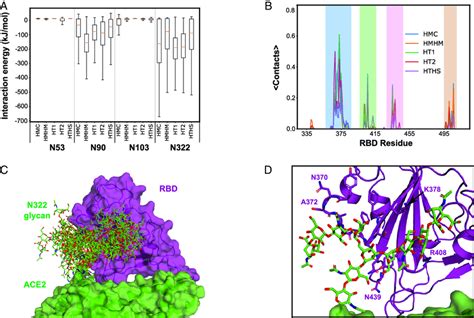 Interaction Of ACE2 Glycans With SARS CoV 2 Spike RBD A Interaction