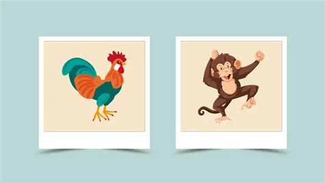 Monkey and Rooster Chinese Zodiac Compatibility – Healthy Food Near Me