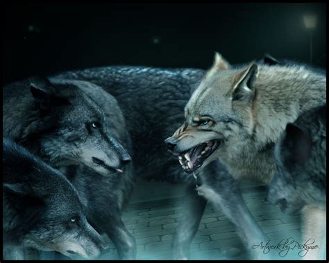 Anime Wolf Pack Wallpaper