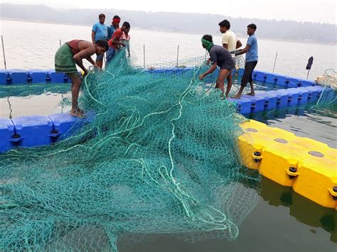 Custom Made Aquaculture Net Cages Aquaculture Net Cage Fish Cages