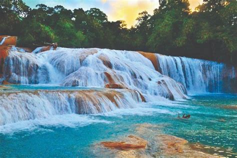 Tripadvisor Tour zu den Wasserfällen Palenque Agua Azul und Misol Ha