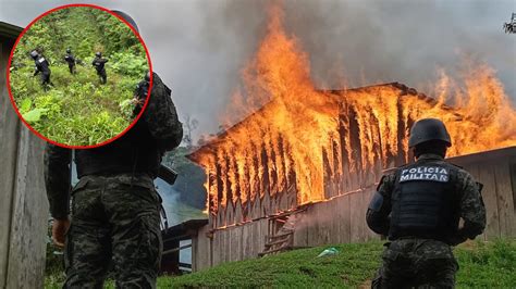 Incineran más de 500 mil arbustos de hoja de coca en Patuca Olancho