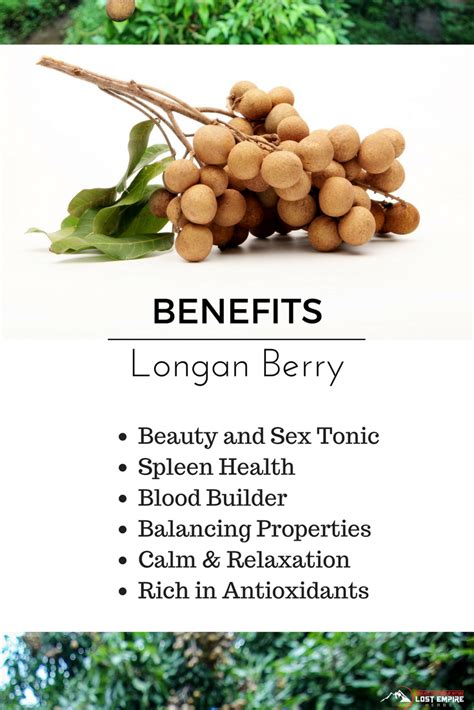 longan berry longan fruit nourishes  yin   considered